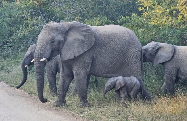 Ukanyi Luxury Villa - Foto 27