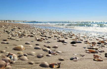 Wherry Green Guest House (PRAIA DA BARRA)❤️ - Foto 27