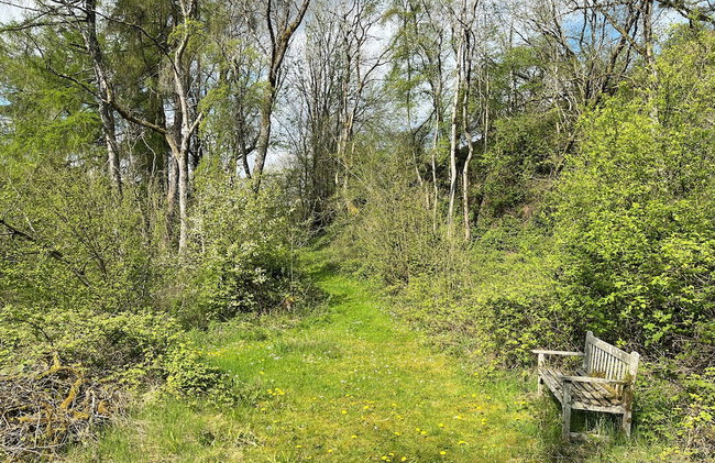 Drovers Retreat - Foto 50