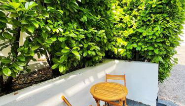 Saint Paul de Vence - LE KUB PLEX - Foto 3