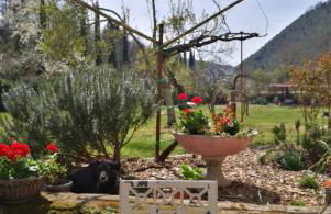 Podere Groppini - Foto 47