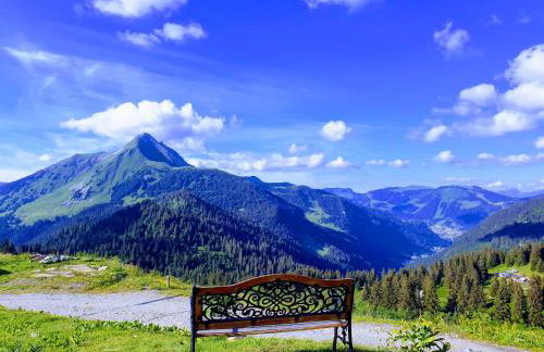 Chalet le Petit Ramoneur - Foto 38