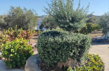 Casa do Duque - Foto 21