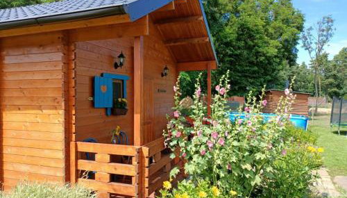 Smocze Ranczo - Foto 3