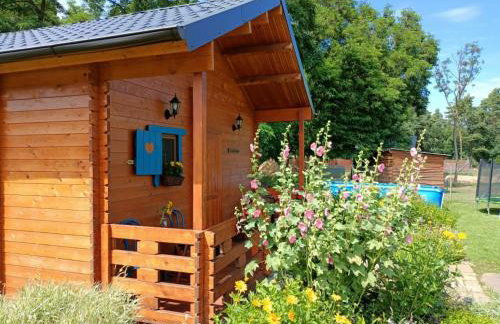 Smocze Ranczo - Foto 3