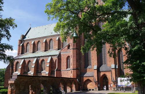 Holz-Ferienhaus Mechelsdorf, nahe Ostseebad Kühlungsborn - Photo 21
