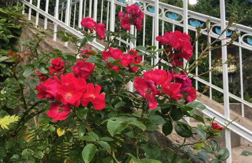 maison milabee - Foto 6