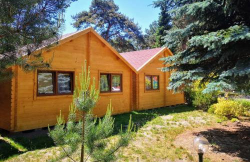 EKO DOMKI w Ośrodku Edukacji Ekologicznej w Krynicy Morskiej-Piaski - Foto 10