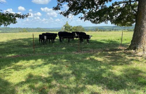 The Varnadoe Villa- Farm Stay - Foto 34