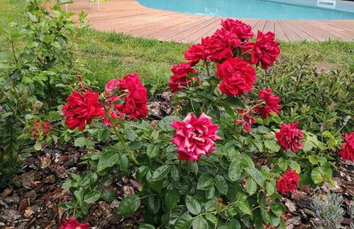 Casa Camporino - Foto 73