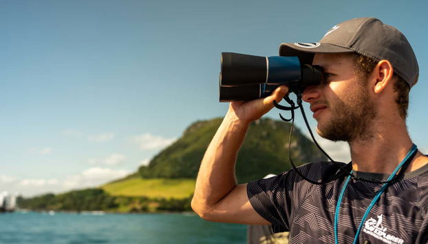 Em busca da biodiversidade da zona