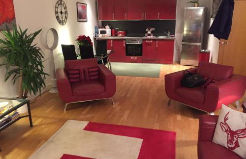 Stunning Spacious City Apartment with free parking - Foto 25