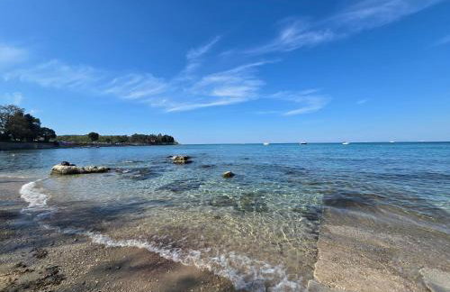 Marine Bliss - Foto 24