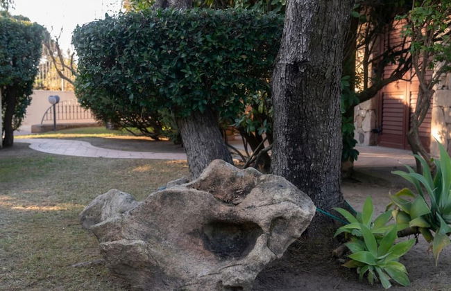 Welcomely - S Olia-l Olivo - Foto 23