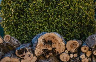 Gli Ulivi di Gino - Foto 41