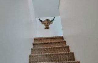 La Citadine, maison avec jardin… - Foto 15