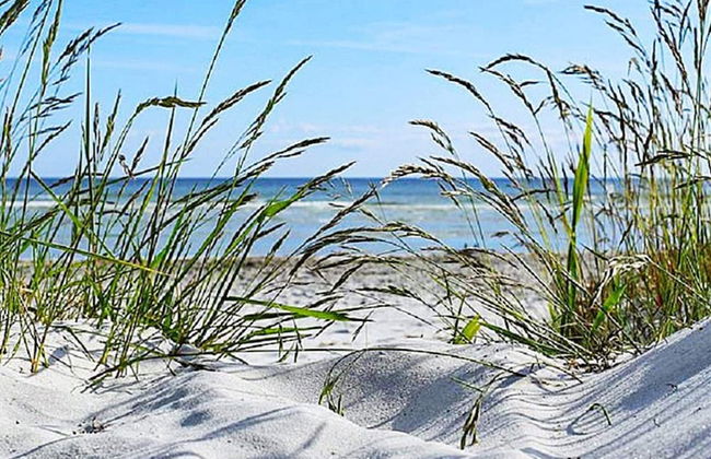 5 Person Holiday Home in Solvesborg-by Traum - Photo 24