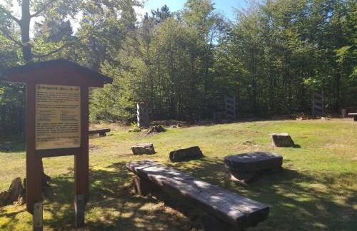 Ferienwohnungen Luge - Winterberg - Foto 53