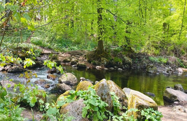 Flucht ins Herz von Elend - Foto 36