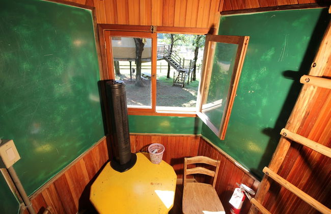 Out 'N' About Treehouse Treesort - Photo 30