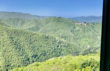 Home Holidays Crasciana, con terrazza vista sulle Alpi Apuane. - Foto 37