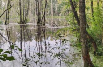 Holiday Home Itzinger by Interhome - Foto 32