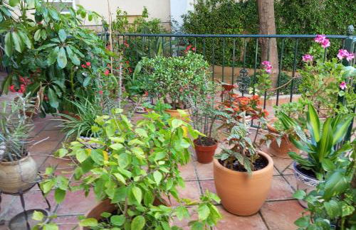 corazón de jerez edificio de 1861 - Foto 6