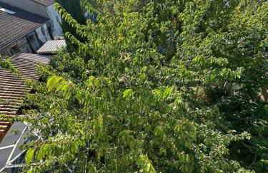 Studio cosy - Le cerisier - Foto 14