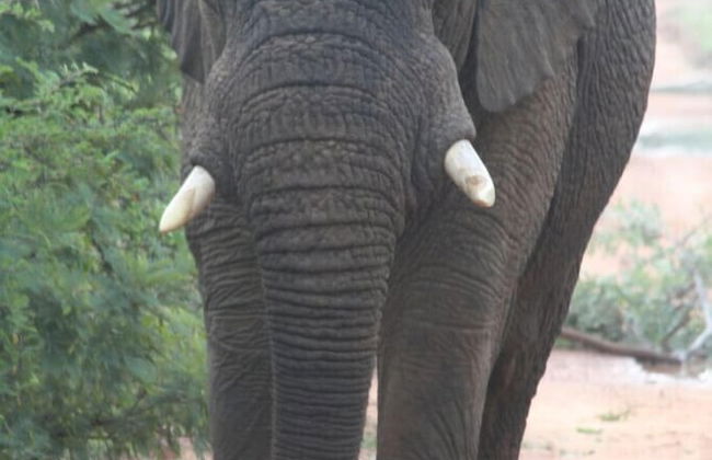 ArendSig Villa - Photo 27