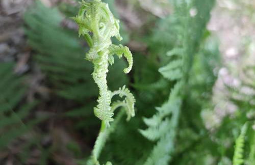 CHARMANT APPARTEMENT 3 étoiles classé BORD DE MER Travel Award 2026 - Photo 32