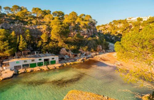 Can Navarro - Foto 21