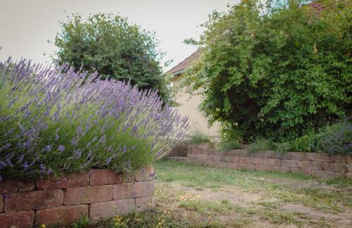 FEWO KOI mit Teichblick - Foto 9