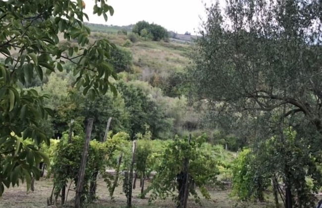 Antico Casale di Campagna - Foto 14