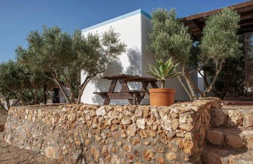 El Rincón de los Albaricoques - Foto 43