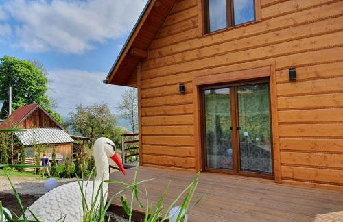 Domek Góralski Piwowarówka - Foto 37