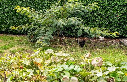 Lac et Nature - Foto 32