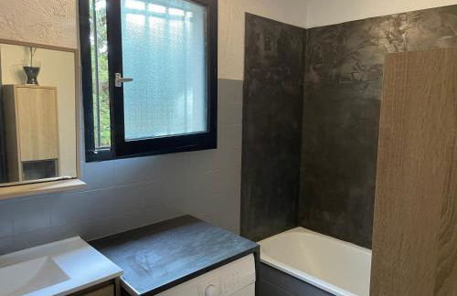 La Cardonille appartement avec patio - Foto 17