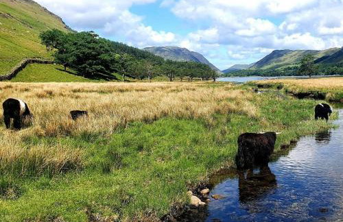 1 Bed in Keswick oc-86246 - Foto 12