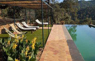 Finca Bravo - Foto 38