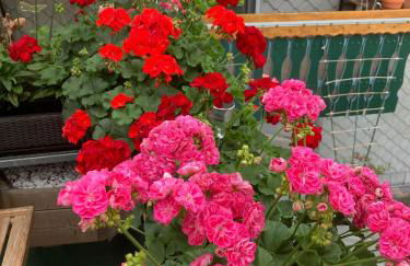 Zeiler Peter und Luisie - Photo 10