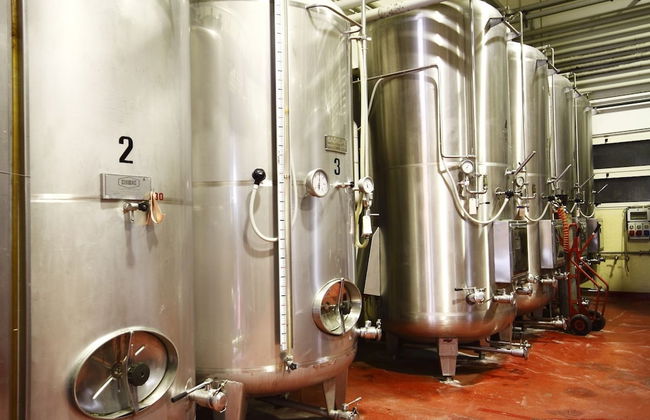 Agriturismo Borgo delle Vigne - Foto 13