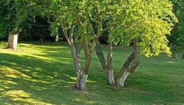 Gîte Au Bord de la Baie de Somme - Foto 4