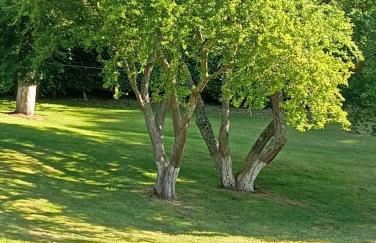 Gîte Au Bord de la Baie de Somme - Foto 4