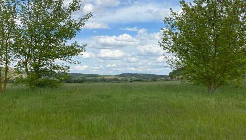 Weinbergblick Laucha Unstrut - Foto 4