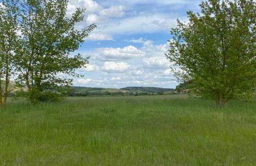 Weinbergblick Laucha Unstrut - Foto 4