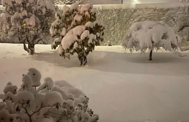 wunderschöne "Ferienwohnung-Simmerath de" Eifel NordEifel Nationalpark - Photo 33