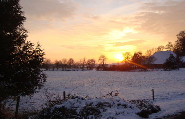 Quaint Farmhouse in Waskemeer near Forest - Foto 32