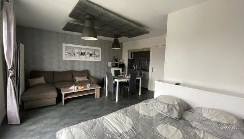 Appartement du Val de Loire - Photo 4