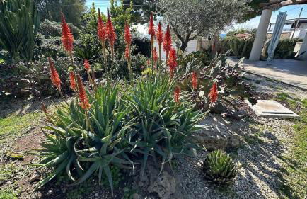 Delizioso appartamento a ridosso del mare del Plemmirio Siracusa - Foto 25