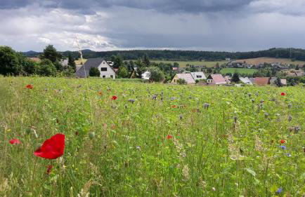 Ferienwohnung "Haus am Weifberg" Hinterhermsdorf - Photo 2